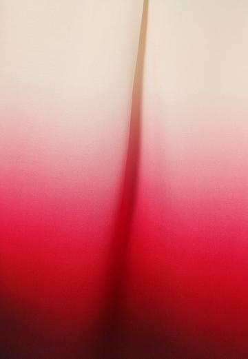 Майка-борцовка