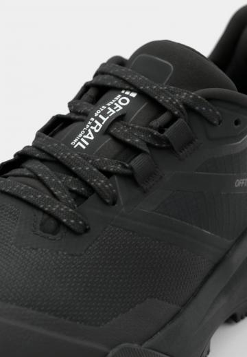 Походные ботинки