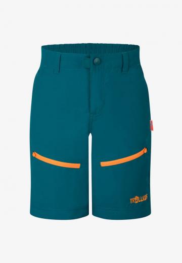 Шорты