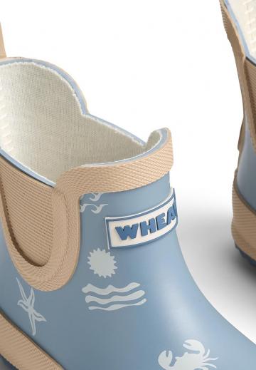 Резиновые сапоги