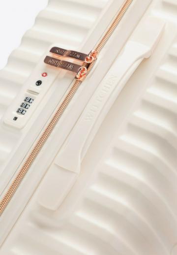 Чемодан на колесах