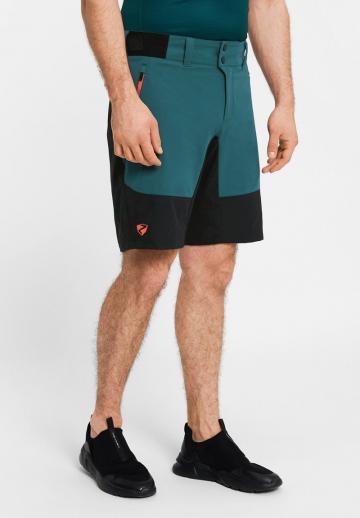 Спортивныве шорты