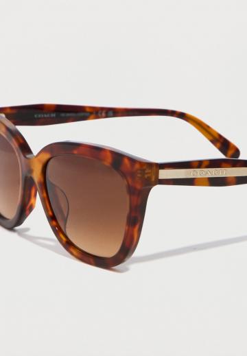 Солнечные очки