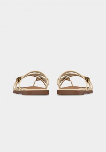 Шлепанцы