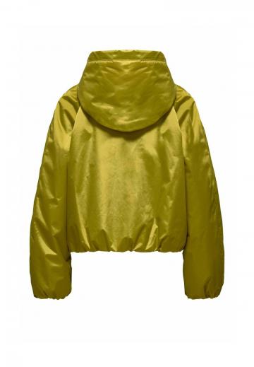 Куртка Softshell