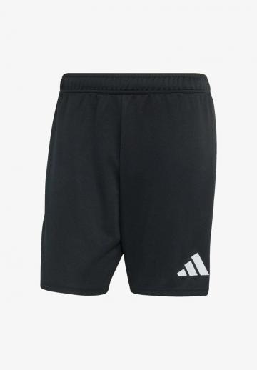 Спортивныве шорты
