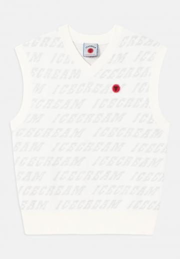 Жилет