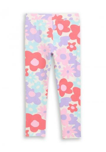 Леггинсы