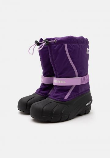 Сапоги