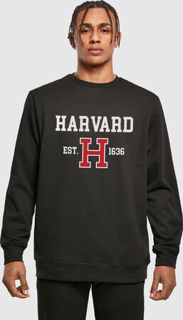 Толстовка "Harvard University - Est 1636"
