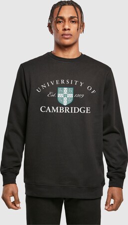 Толстовка "University Of Cambridge - Est 1209"