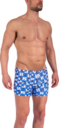 Плавательные шорты "Blu2350 Beachtrunks"