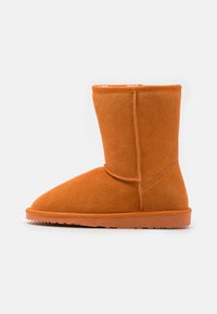 Зимние ботинки