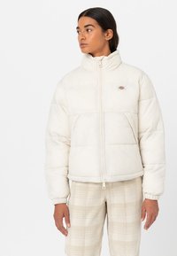 Зимняя куртка Зимняя куртка