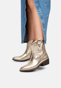 Ковбойские сапожки