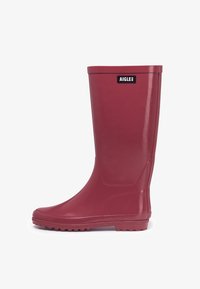 Резиновые сапоги Резиновые сапоги