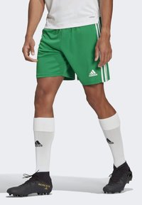 Бермуды Бермуды