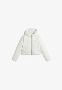 Короткая куртка Короткая куртка