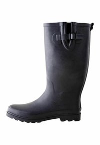 Резиновые сапоги