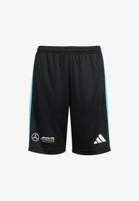 Спортивные штаны Спортивные штаны