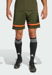 Шорты Шорты