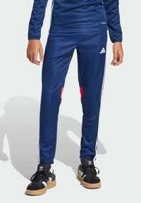 Спортивные штаны