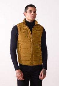 Жилет Жилет