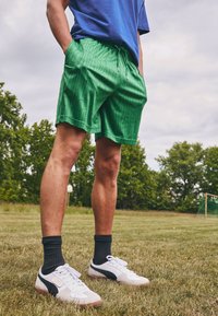 Шорты Шорты