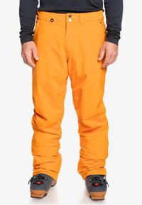 Сноубордические штаны