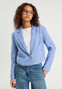 Блейзер Блейзер