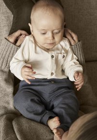 Брюки Брюки