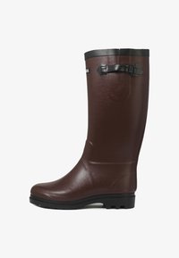 Резиновые сапоги Резиновые сапоги