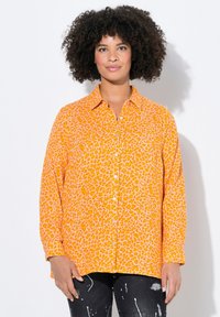 Блузка-рубашка Блузка-рубашка