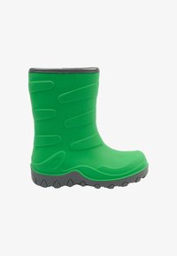 Резиновые сапоги