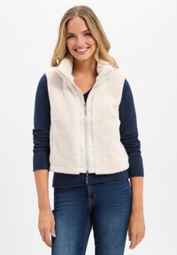 Жилет Жилет