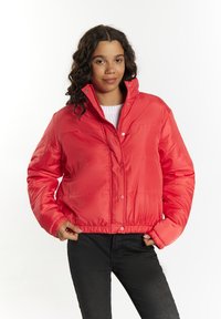 Зимняя куртка