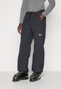 Сноубордические штаны