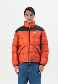 Зимняя куртка Зимняя куртка