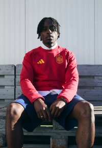 Спортивная кофта Спортивная кофта