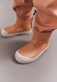 Резиновые сапоги Резиновые сапоги