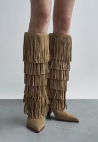 Высокие сапоги