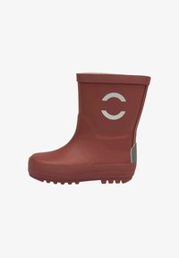 Резиновые сапоги