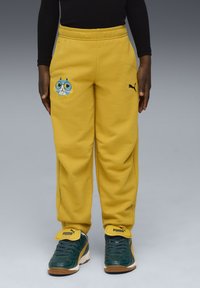 Спортивные штаны