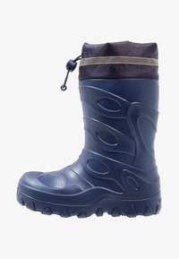 Резиновые сапоги