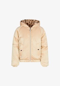 Зимняя куртка Зимняя куртка