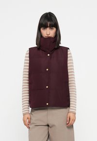 Пуховой жилет