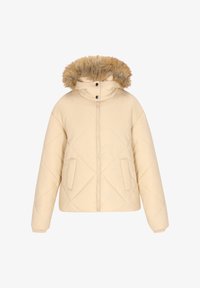 Зимняя куртка Зимняя куртка