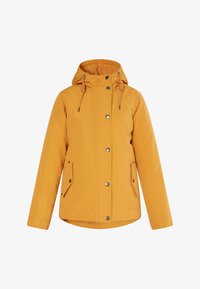 Зимняя куртка Зимняя куртка