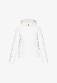 Зимняя куртка Зимняя куртка