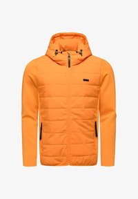 Зимняя куртка